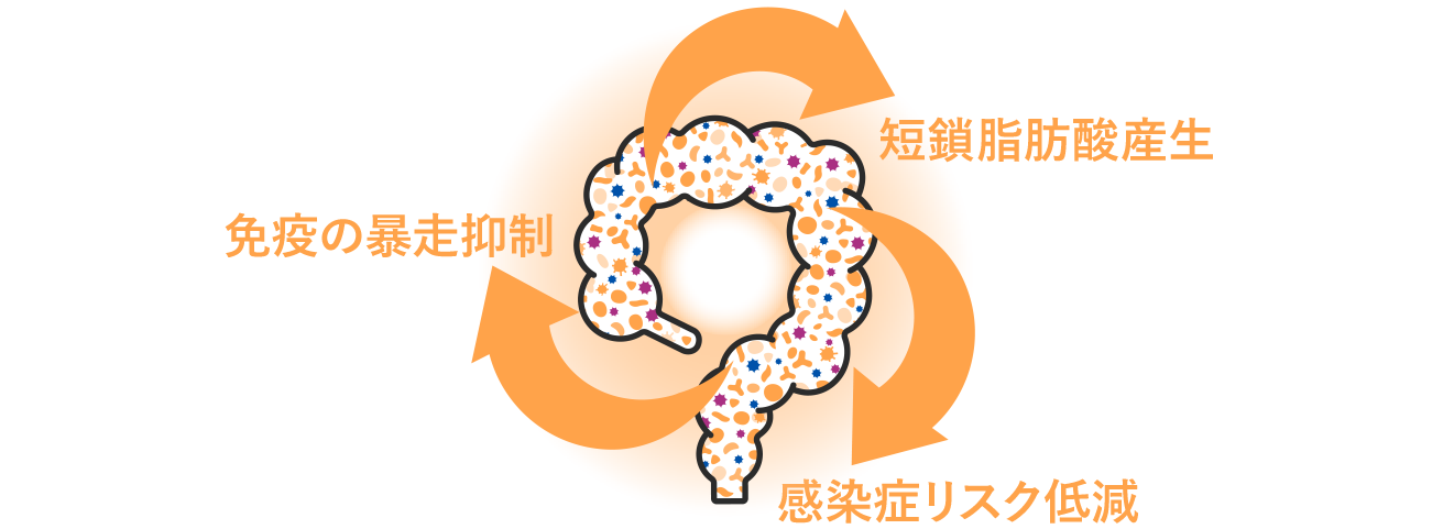 善玉菌優位の大腸