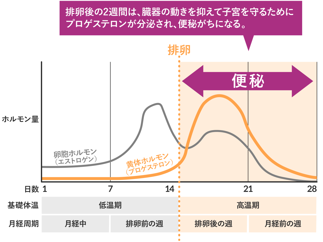 女性の月経周期と便秘
