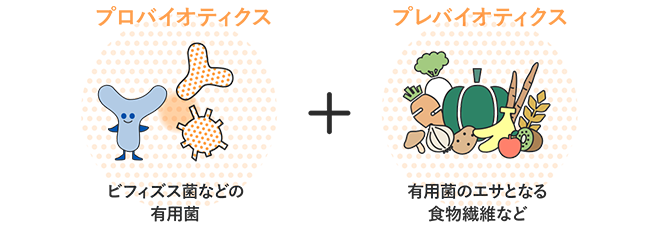 腸内環境を整える組み合わせ