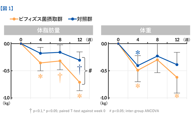 ビフィズス菌を12週間摂取した体脂肪量・体重の比較グラフ