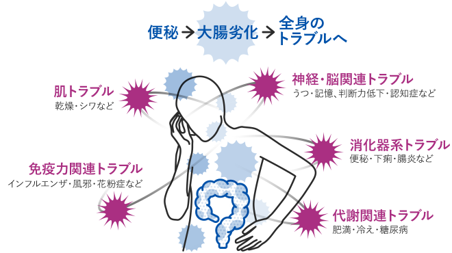 便秘→大腸劣化→全身のトラブルへ 肌トラブル・免疫力関連トラブル・神経・脳関連トラブル・消化器系トラブル・代謝関連トラブル