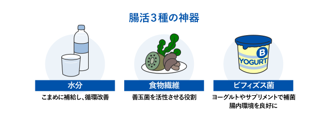 腸活3種の神器「水分」こまめに補給し、循環改善「食物繊維」善玉菌を活性させる役割「ビフィズス菌」ヨーグルトやサプリメントで補菌 腸内環境を良好に