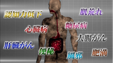 動画で見る大腸劣化