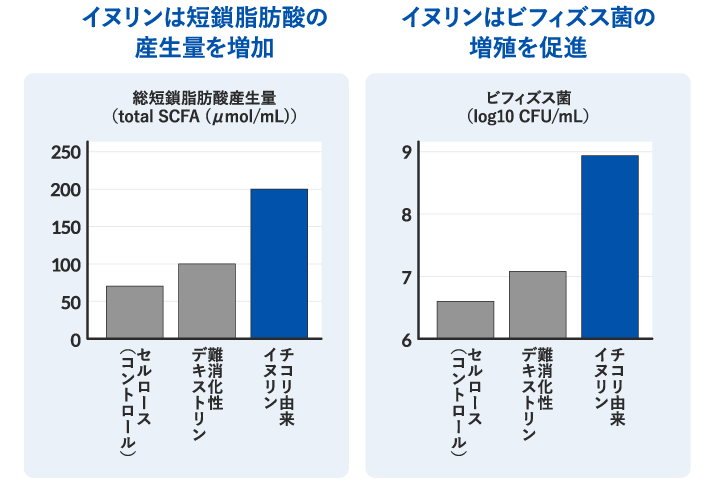 水溶性食物繊維イヌリンの有用性
