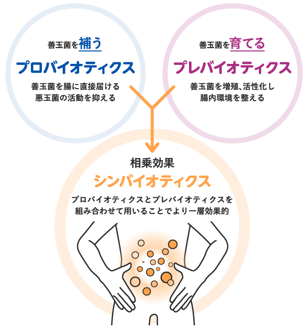 シンバイオティクス