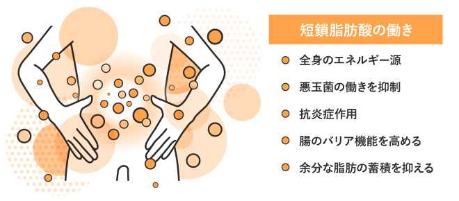 便秘→大腸劣化→全身のトラブルへ 肌トラブル・免疫力関連トラブル・神経・脳関連トラブル・消化器系トラブル・代謝関連トラブル