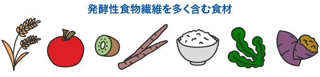 発酵性食物繊維を多く含む食材