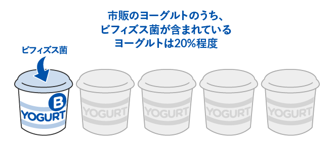 市販のヨーグルトのうち、ビフィズス菌が含まれているヨーグルトは20%程度