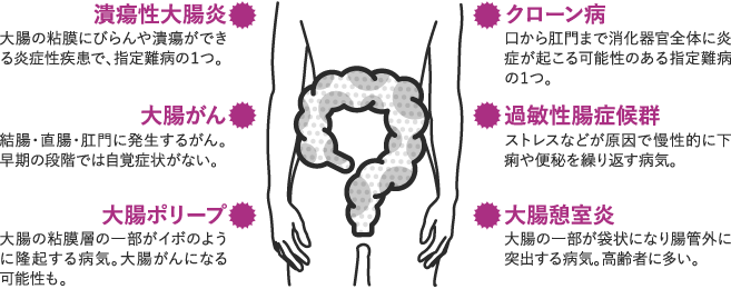 小腸と大腸の各部の名称