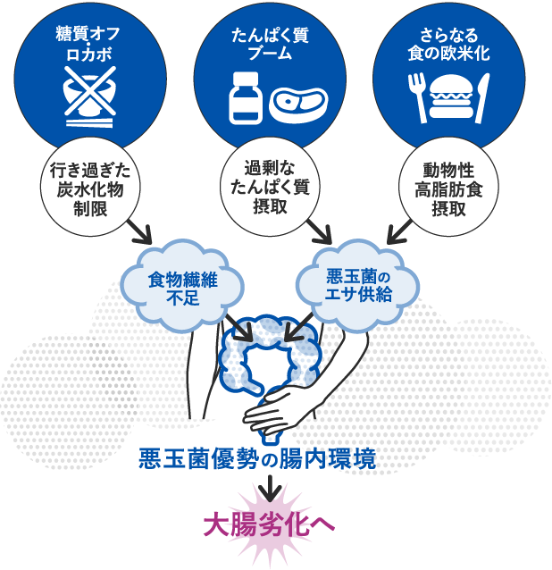 悪玉菌優勢の腸内環境→大腸劣化へ