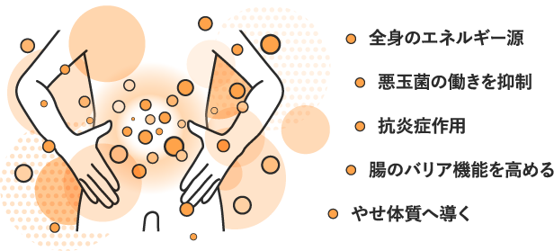 「短鎖脂肪酸」の重要な役割