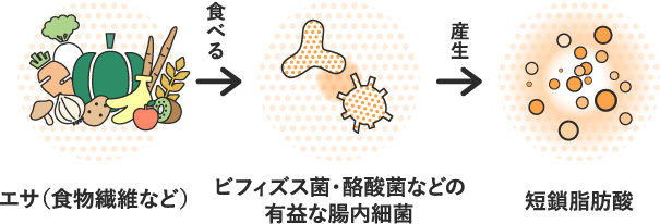 「短鎖脂肪酸」を効率よく増やすには