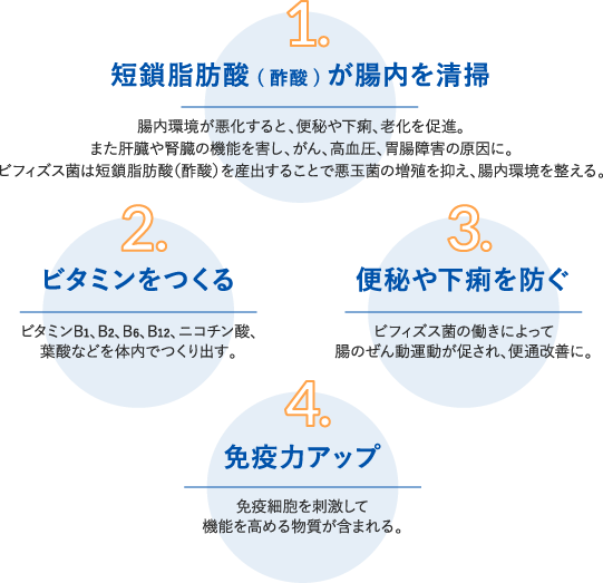 ビフィズス菌のはたらき