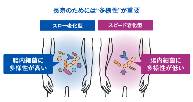 長寿のためには“多様性”が重要