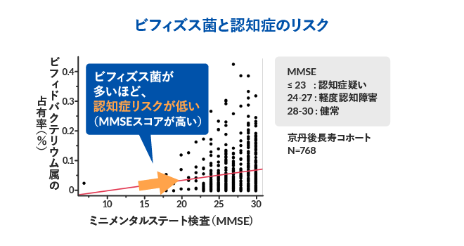 ビフィズス菌と免疫機能の関連性