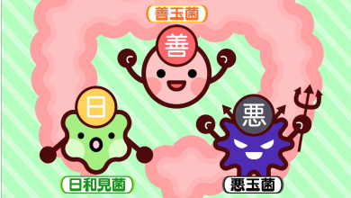 大腸の健康＝全身の健康